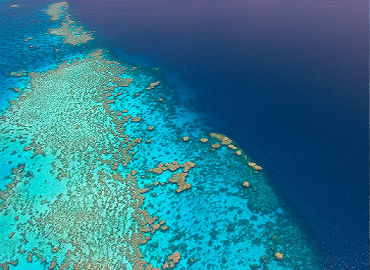 Snorkel Dive Great Barrier Reef
